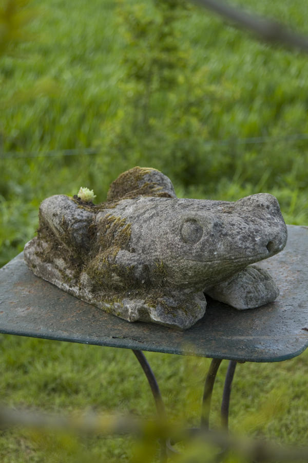 Large stone vintage Frog