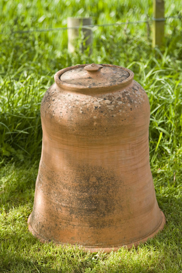 Vintage weathered terracotta rhubarb forcer