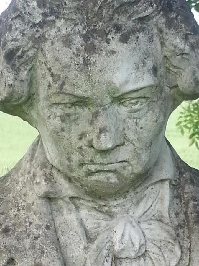 Vintage Composite Stone Bust of Beethoven