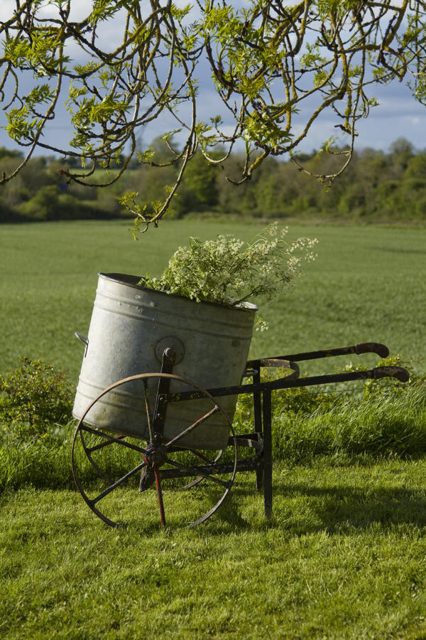 Antique Farm Water Carrier