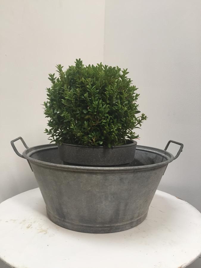 Zinc Basins (5 in total)