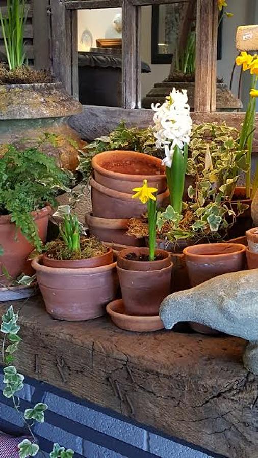 Vintage hand thrown terracotta garden pots