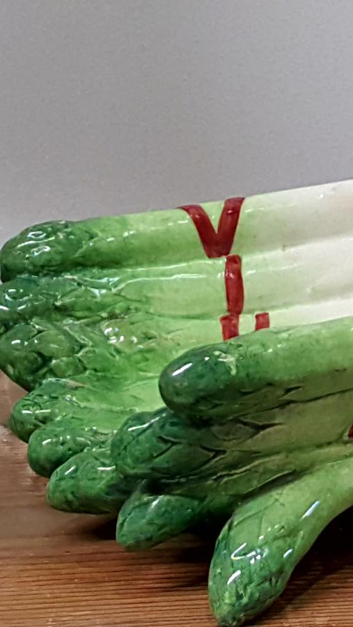 French 19thC Majolica Asparagus Basket
