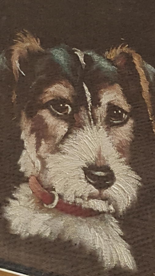 1930's Painting Oil on Velvet of a very cute dog
