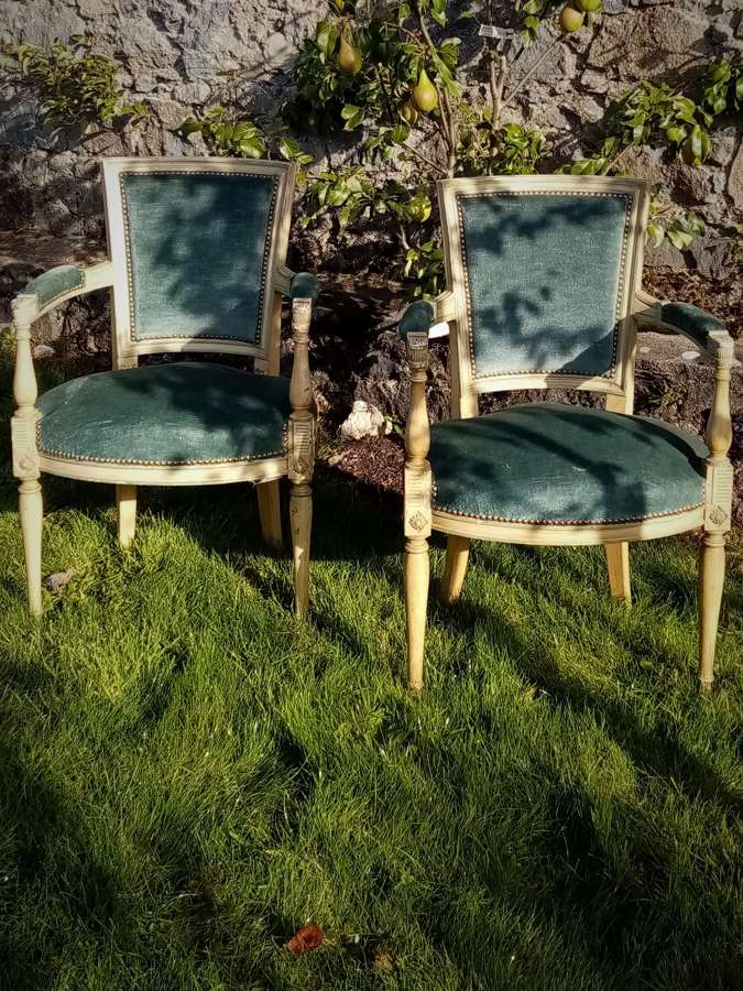 Pair of Empire style 19th c French elbow chairs