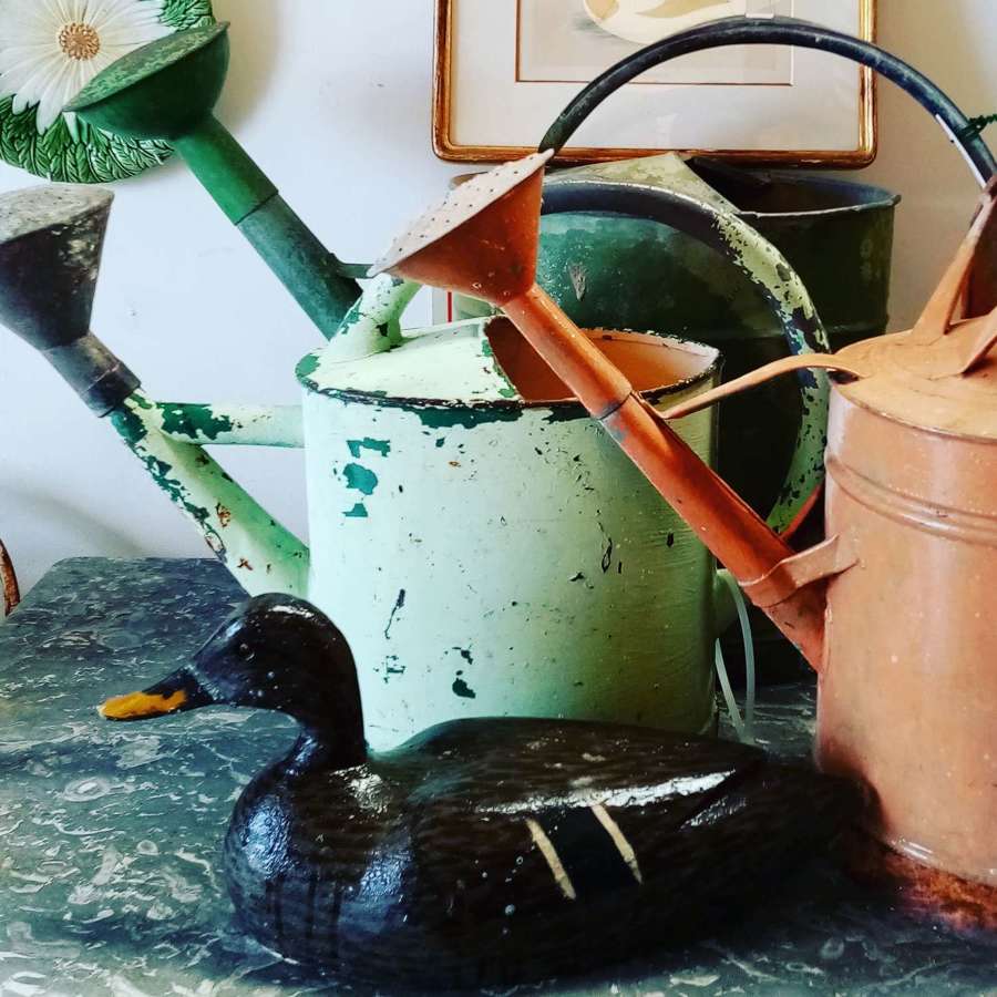 Selection of vintage zinc watering cans