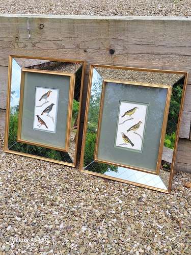 Pair of 19th century engravings in mid century mirrored frames