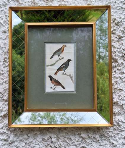 Pair of 19th century engravings in mid century mirrored frames