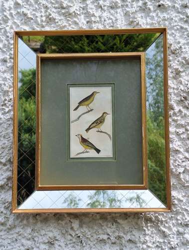 Pair of 19th century engravings in mid century mirrored frames