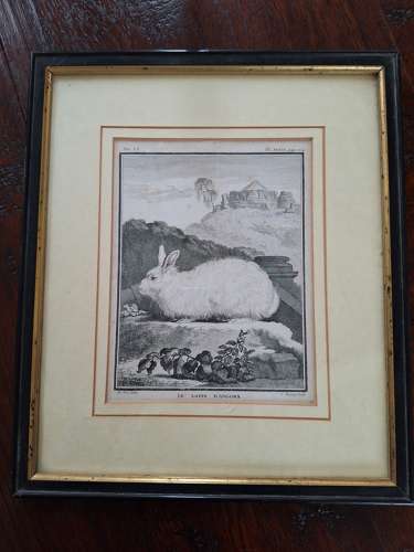 18th century French print of an 