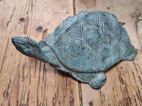 Verdigris bronze tortoise