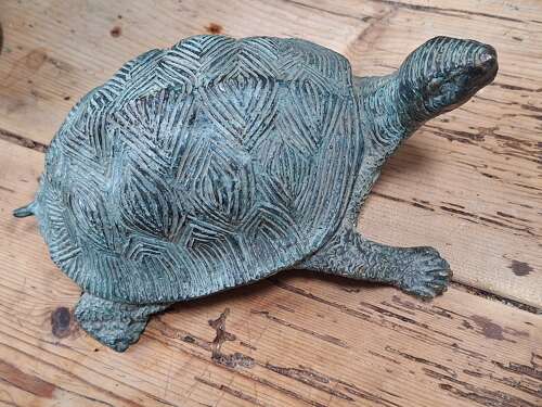 Verdigris bronze tortoise